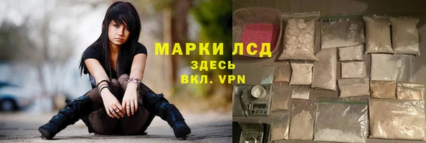 стафф Ростов