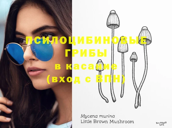 стафф Ростов