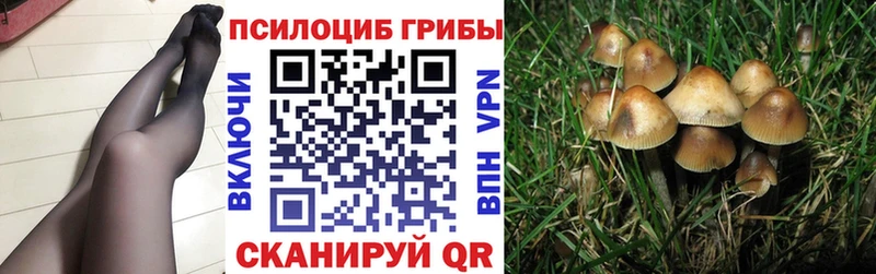 Галлюциногенные грибы Cubensis  Мичуринск 